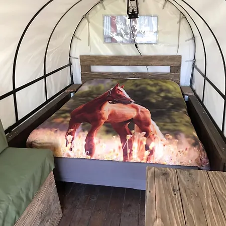 Bed & Breakfast La Libaudiere Pouzauges