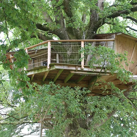 Bed & Breakfast La Libaudiere Pouzauges