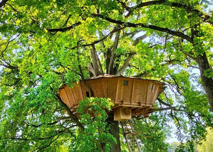 La Libaudiere ベッド・アンド・ブレックファスト プゾージュ